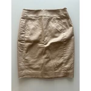 Ann Taylor Loft Beige Pencil Skirt Petites Size OOP